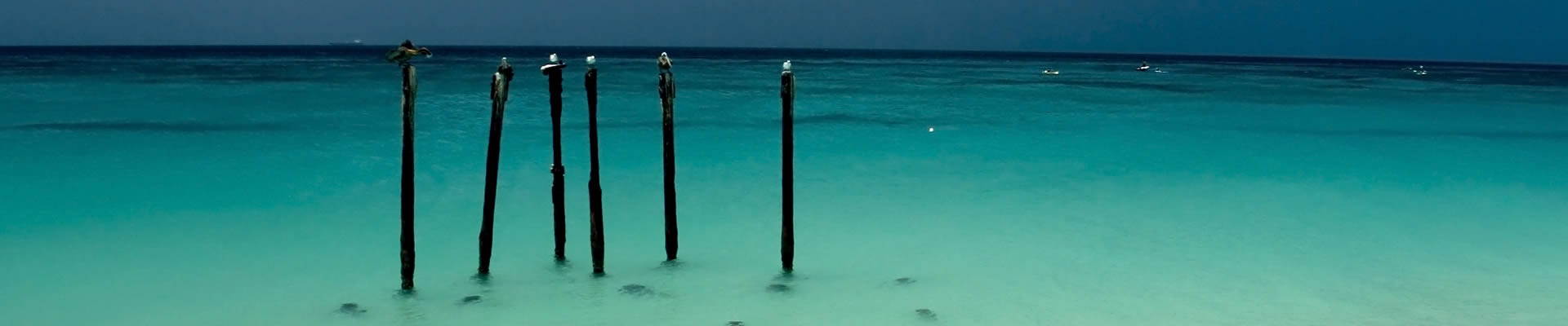 Red Light District - The Other Side of Aruba - In-Aruba.Com